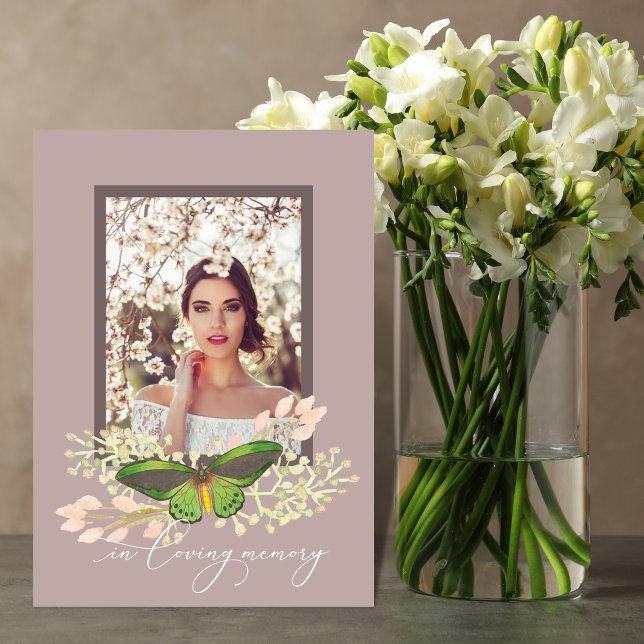 Butterfly Photo Memorial-mappat program (Skapare uppladdad)