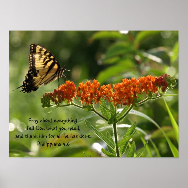 Butterfly Photo Philippians Bible Verse poster (Framsidan)