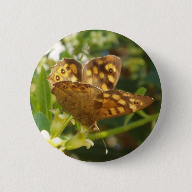 Butterfly Pin Knapp (Framsida)