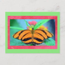 Butterfly-postat vykort