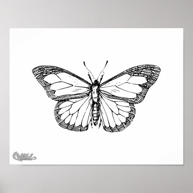 Butterfly Poster (Framsidan)