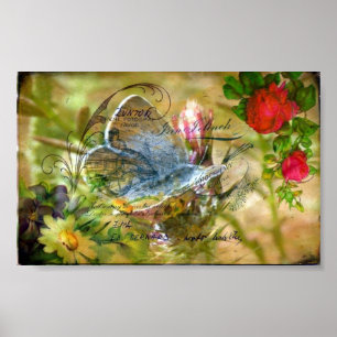 Butterfly Poster