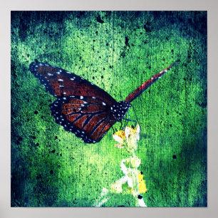 Butterfly Poster
