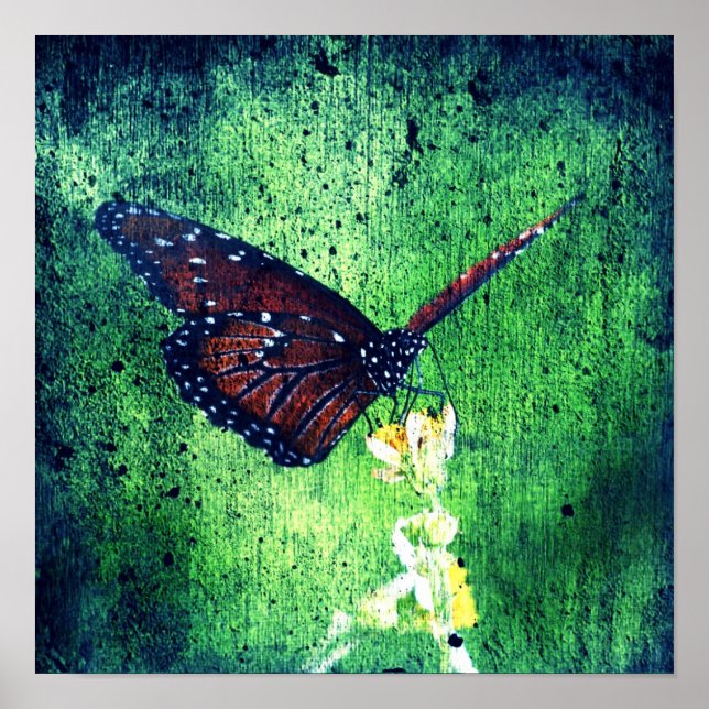 Butterfly Poster (Framsidan)