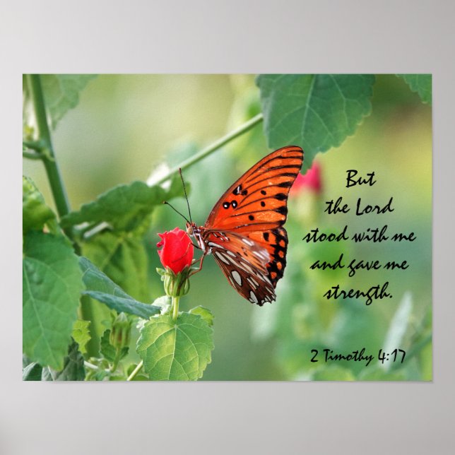 Butterfly Poster om Guds styrka (Framsidan)