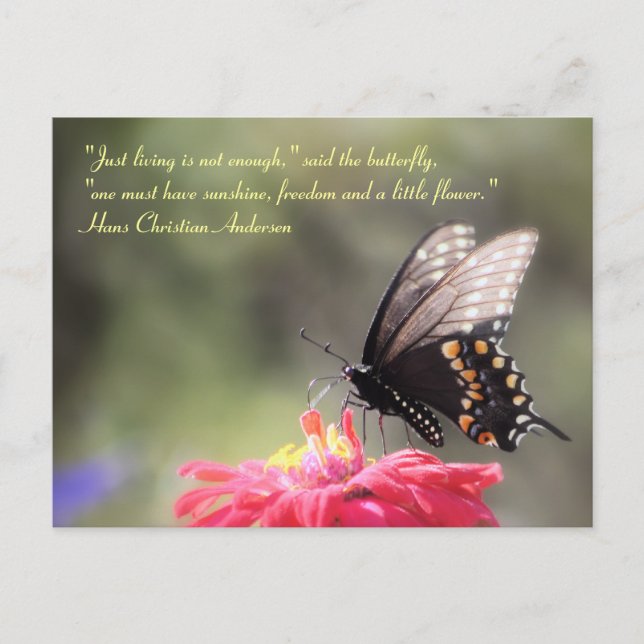 Butterfly Quote ’Sunshine, Freedom, Flower’ Vykort (Framsida)