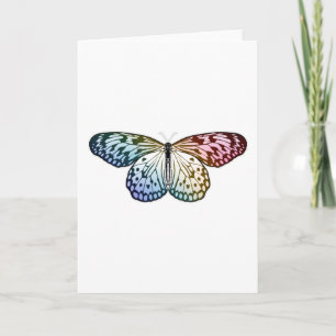 Butterfly Rainbow Kort