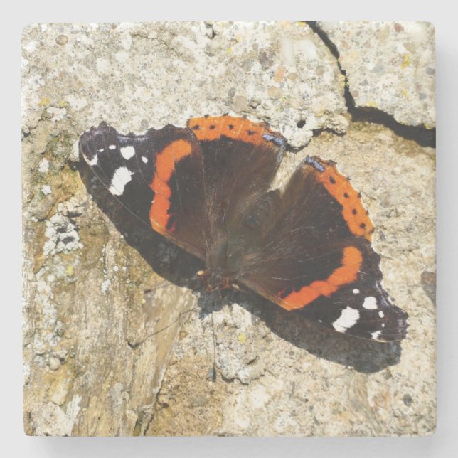Butterfly - Röd amiral Stenunderlägg (Framsidan)