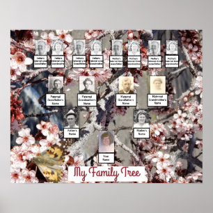 Butterfly Rosa Blommars Photo Family Träd Poster