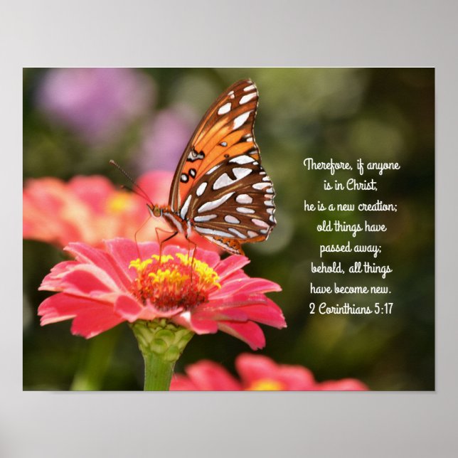 Butterfly Scripture Poster 2 korinthians (Framsidan)