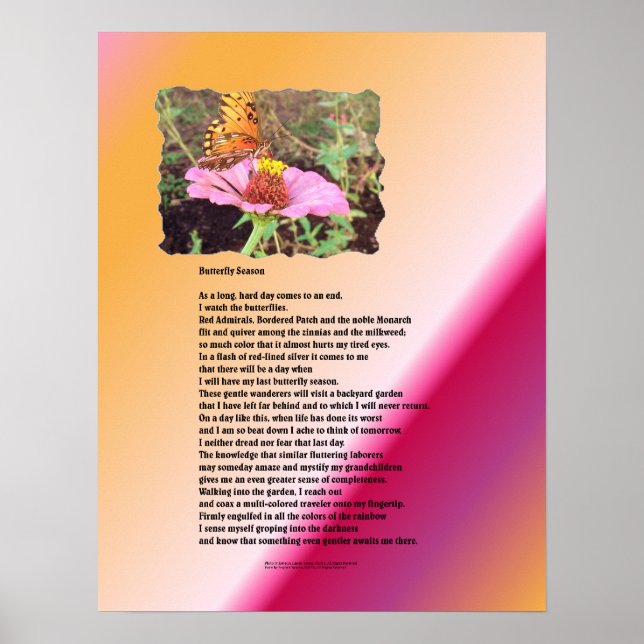 Butterfly Season - Desert Poster (Framsidan)