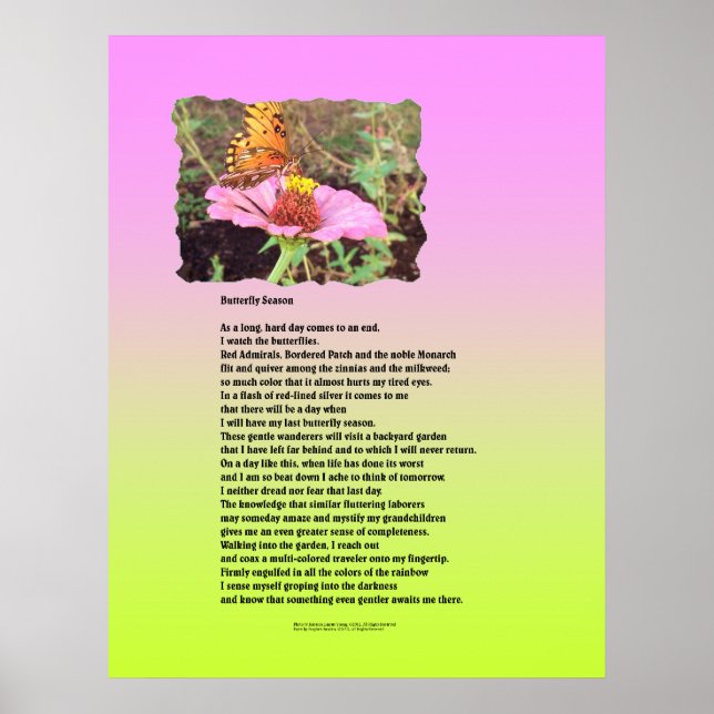 Butterfly Season Poster (Framsidan)