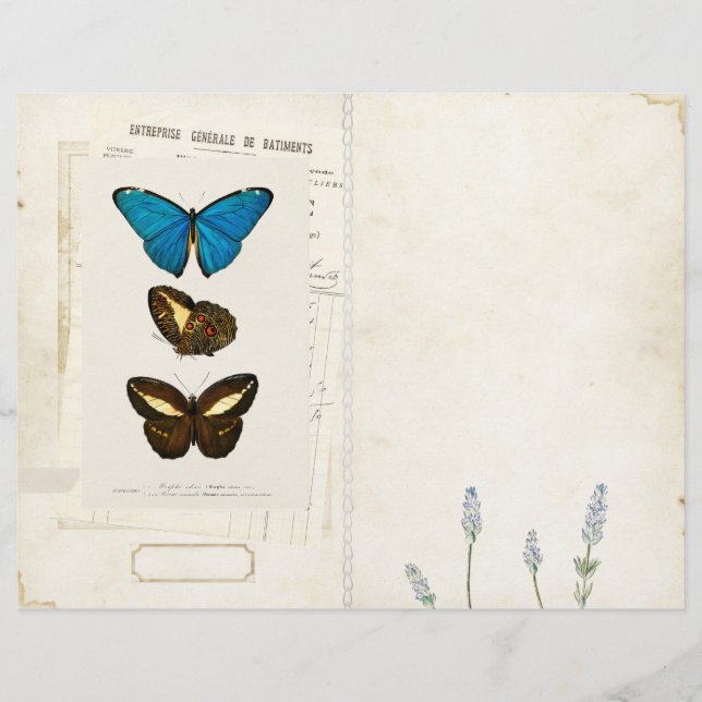 Butterfly-segmentet Journal Page Front/Back Vintag (Framsida)
