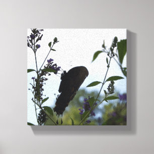 Butterfly Silhouette Canvastryck