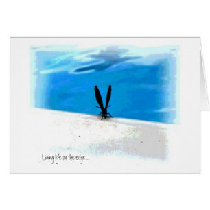 Butterfly Sillouette Graphics Hälsningskort