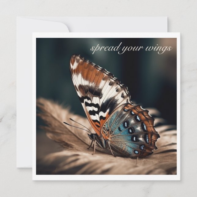 Butterfly sitta på en mjuk fjäder (Framsida)