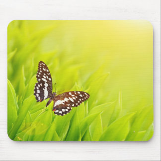 Butterfly sitta på färsk grönt musmatta