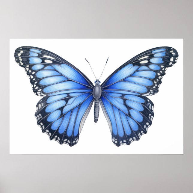 Butterfly-sketch Poster (Framsidan)