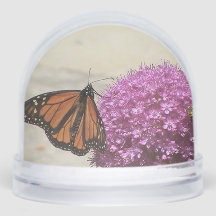 Butterfly Snö Globe