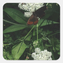 Butterfly Sticker Fyrkantigt Klistermärke