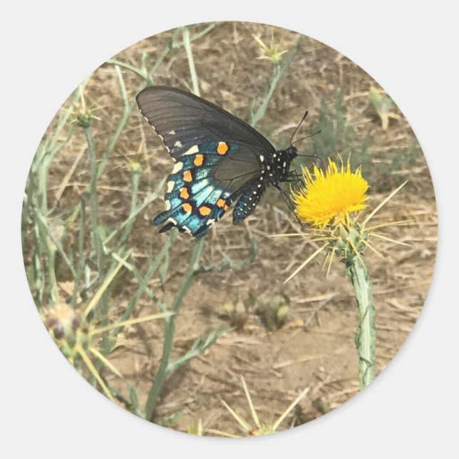 Butterfly Sticker Runt Klistermärke (Framsida)