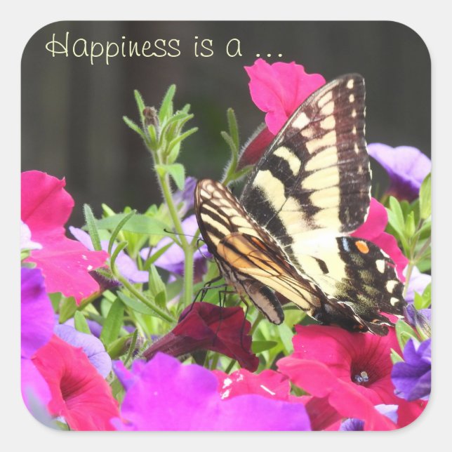 Butterfly Stickers Fyrkantigt Klistermärke (Framsida)