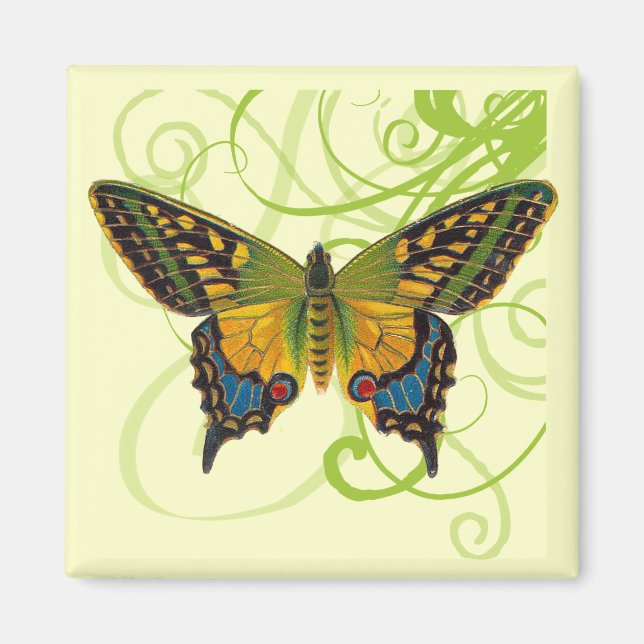 Butterfly Swirls Magnet (Framsidan)