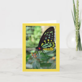 Butterfly, tack anteckningskort