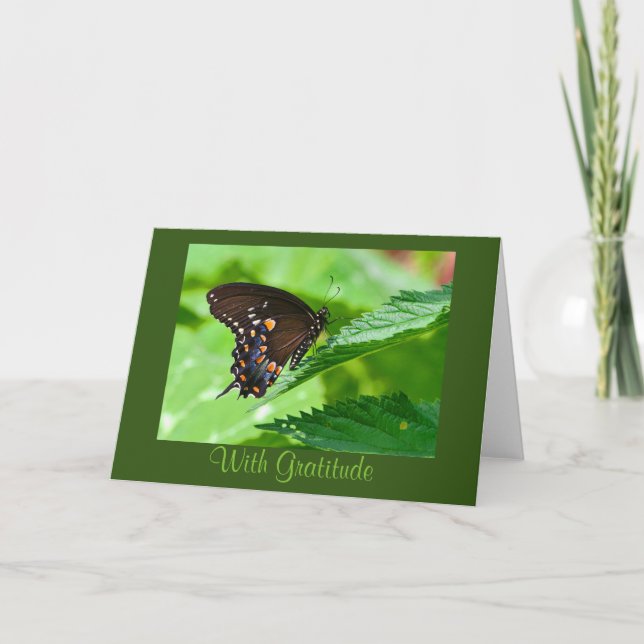 Butterfly - tackkort (Framsida)