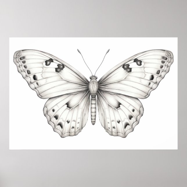 Butterfly teckning poster (Framsidan)