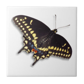 Butterfly Tile - Black Swallowtail Kakelplatta