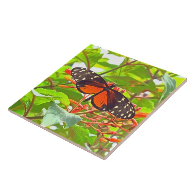 "BUTTERFLY" TILE/TRIVET (FOTOG) KAKELPLATTA (Sidan)