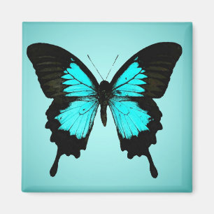 Butterfly - turkos blå och svart magnet