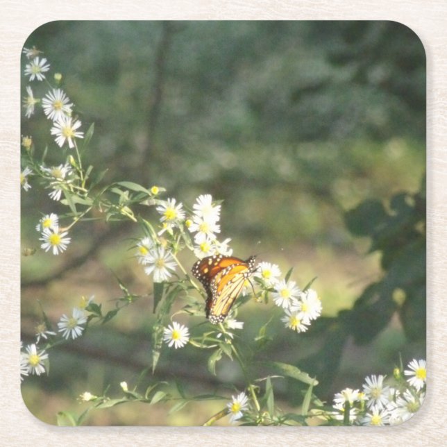 Butterfly Underlägg Papper Kvadrat (Framsidan)