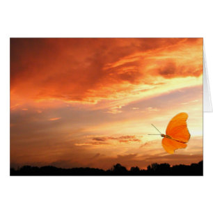 Butterfly vid solnedgång hälsningskort