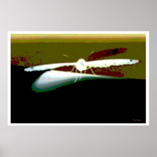 Butterfly Vingar Abstrakt Poster