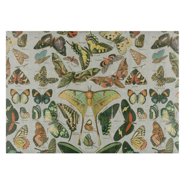 Butterfly Vintage Antique Butterflies Art (Framsidan)