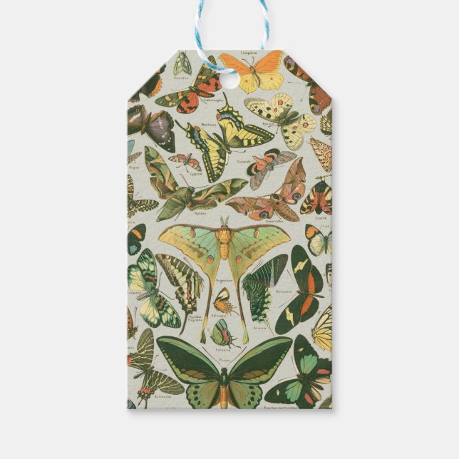 Butterfly Vintage Antique Butterflies Art Presentetikett (Framsidan)