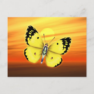 Butterfly Vykort