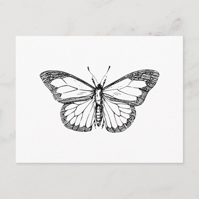 Butterfly Vykort (Framsida)