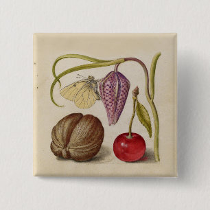 Butterfly Walnut Flower Cherry Watercolor Art Knapp