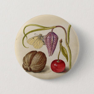 Butterfly Walnut Flower Cherry Watercolor Art Knapp