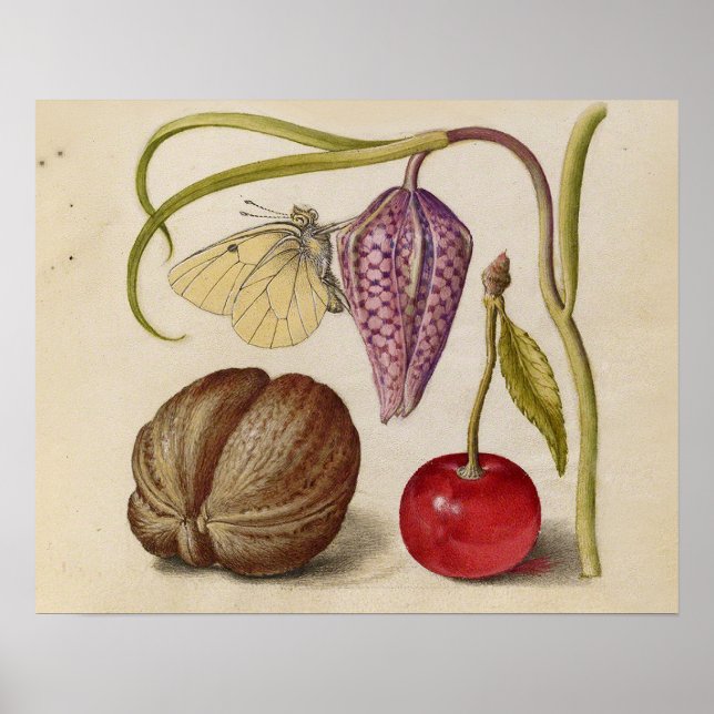 Butterfly Walnut Flower Cherry Watercolor Art Poster (Framsidan)