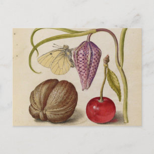 Butterfly Walnut Flower Cherry Watercolor Art Vykort