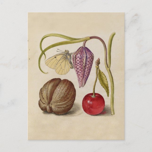 Butterfly Walnut Flower Cherry Watercolor Art Vykort (Framsida)