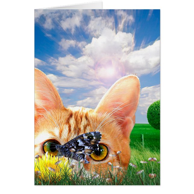 Butterfly Watcher Hälsningskort (Framsidan)