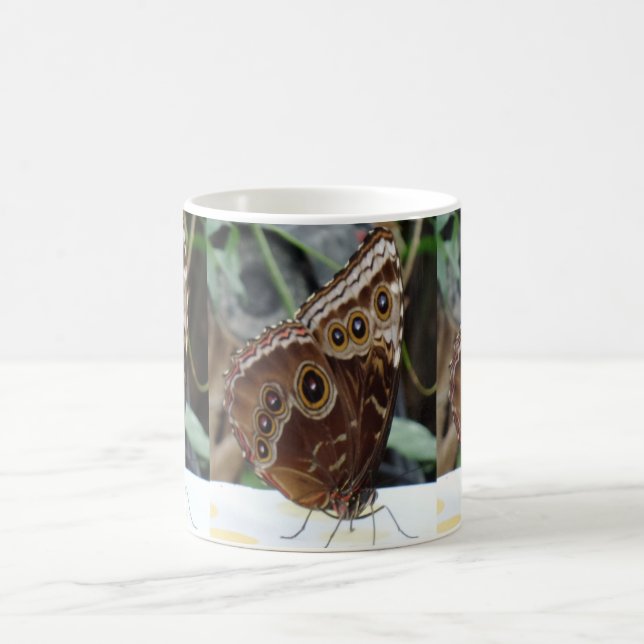 Butterfly White Coffee Mugg (Center)