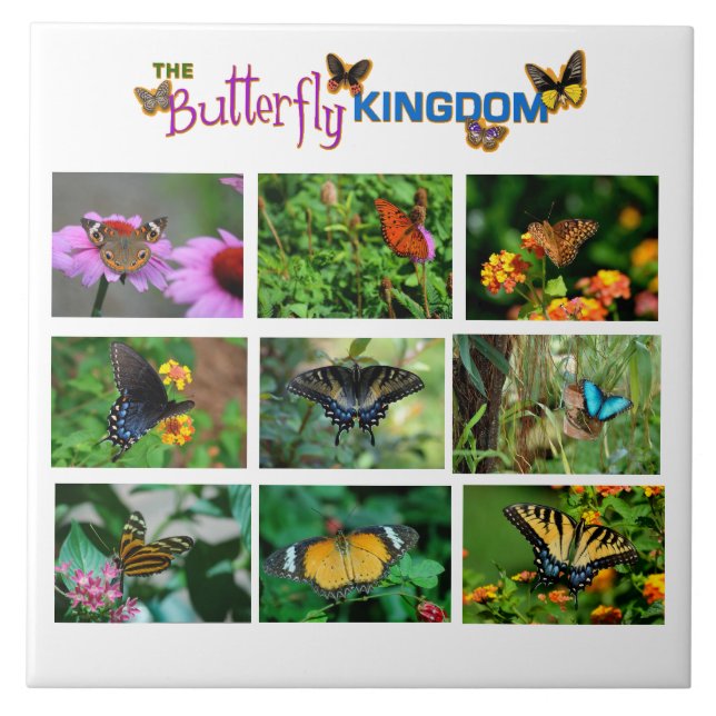 Butterfly World Kakelplatta (Framsidan)