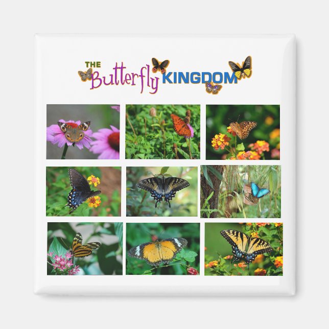 Butterfly World Magnet (Framsidan)