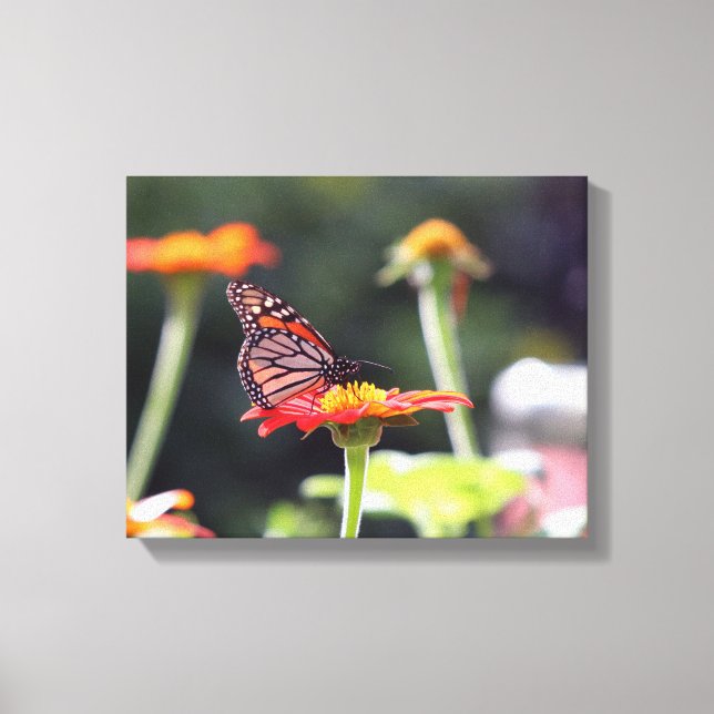 Butterfly Wrapped Canvas (Framsida)